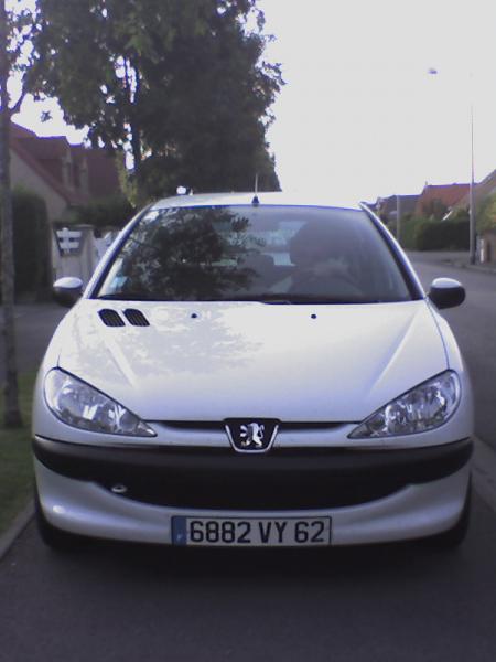 la 206 a brice de nice