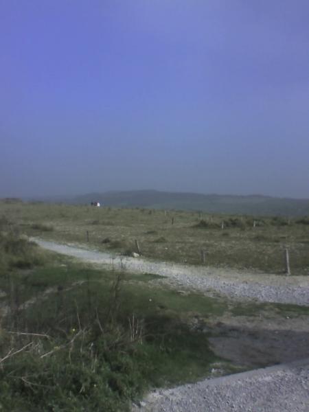 c bo le cap blanc nez 